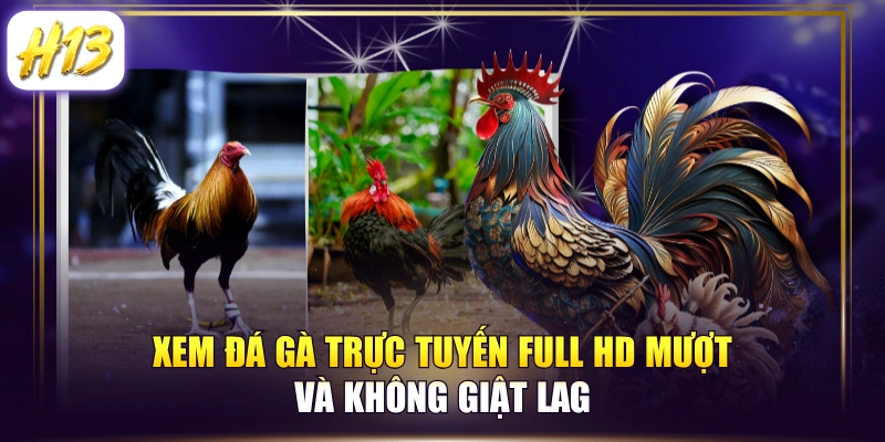 Xem Đá Gà Trực Tuyến Full HD Mượt Và Không Giật Lag